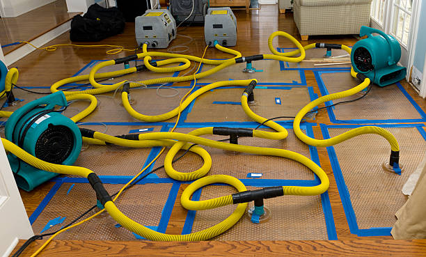 Professional Crawl Space Water Removal technician working in Warnock, OH